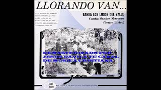 BANDA LOS LIRIOS DEL VALLE (LLORANDO VAN) LP COMPLETO VOL.2 DEL 1967