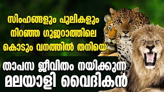 സിംഹങ്ങളും പുലികളും നിറഞ്ഞ ഗുജറാത്തിലെ കൊടും വനത്തിൽ തനിയെ താപസ ജീവിതം നയിക്കുന്ന മലയാളി വൈദികൻ