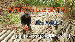 【2022年の薪づくり】倒木の斜面下ろしと玉切り