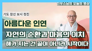 아름다운 인연 - 자연의 순환과 마음의 이치 - 해가 지고 다시 뜨듯이  - 진우스님의 선명상 이야기 #선명상 #조계종 #진우스님