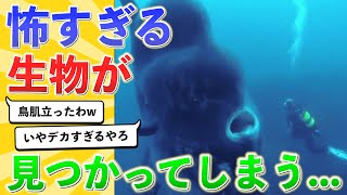 【2ch生物スレ】ガチでやばい生物が見つかるw → これ怖すぎるやろ...