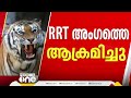 കടുവ ആക്രമിച്ച rrt അം​ഗം ജയസൂര്യയുടെ പരിക്ക് ​ഗുരുതരമല്ലെന്ന് വനംവകുപ്പ് wayanadu tiger attack