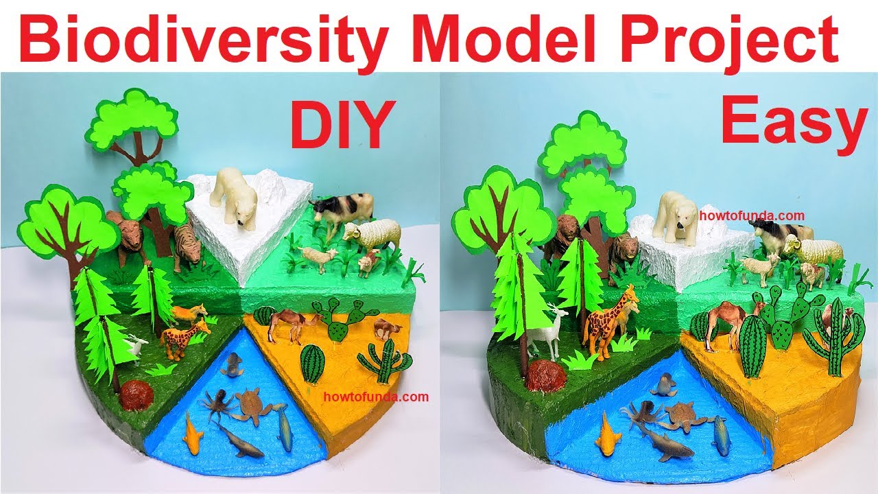 Biodiversity Model Project For Science Exhibition - Diy - Simple And ...