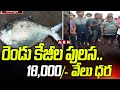 రెండు కేజీల పులస..18 వేల ధర | Pulasa Fish | Antervedi | East Godavari | ABN Telugu