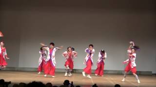 04 輝粋 天照　第7回YOSAKOI in Fujiidera　寄り