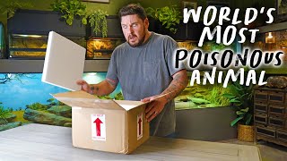 Unboxing WORLD’S MOST POISONOUS ANIMAL! + New SURPRISE Turtles!