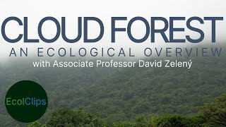 Cloud forest – An Ecological Overview with Assoc. Prof. David Zelený | EcolClips