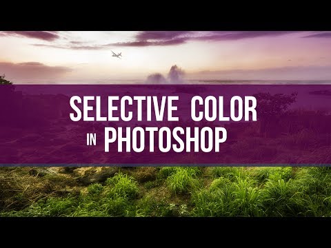 Selective Color Adjustment in Photoshop Selective Color Adjustment in Photoshop