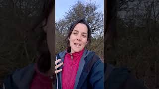 Dawn Chorus Meditation with Jade from Fieldfare and Sonya from Adore Your Outdoors