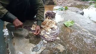 ବଣ ଜଙ୍ଗଲ ଛତୁ। Traditional forest Mushroom foods