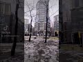 The Hague - Rain washes all the snow away