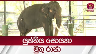 යුක්තිය සොයනා මුතු රාජා | Rupavahini News