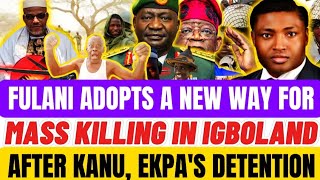 If Nnamdi Kanu Is Released This Strategy Of Eliminating Igbos May Stop - Okocha Happy Marcel