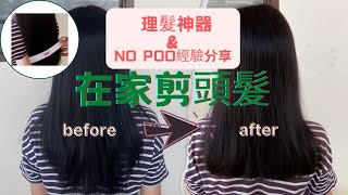 如何自己在家剪頭髮 | 剪髮神器推薦 \u0026 四年no poo經驗分享！| How to cut hair at home?