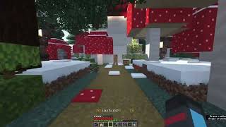 The Aftermath | CedarSMP :)