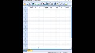 SPSS BEGINNER: How to define data dictionary in SPSS