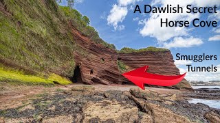 Horse Cove and Shell Cove - A Dawlish Secret