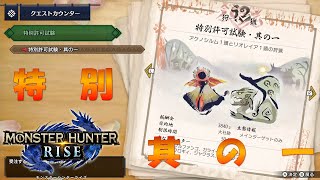 特別許可試験其の一を攻略！複数を冷静に狩れ！【モンスターハンターライズ】