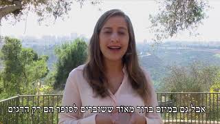 מה זה מיצוי זכויות?