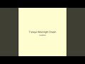 Tranquil Moonlight Dream