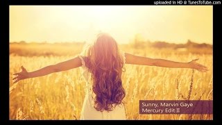 Marvin Gaye - Sunny (Mercury Edit II)