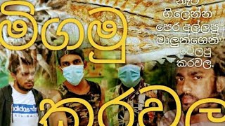 මිගමු කරවල..wasa production.නැව ගිලෙන්න පෙර අල්ලපු මාලුන්ගෙන් වේලපු කරවල..