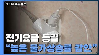 내년 1분기 전기요금 동결...\