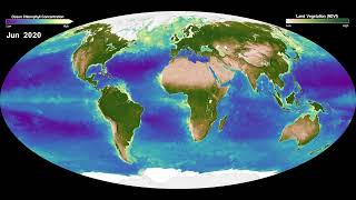 Global Biosphere March 2017 - Feb 2022