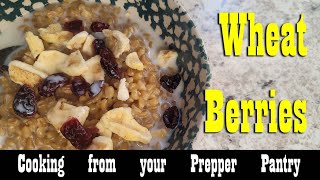 Cooking Wheat Berries from your Prepper Pantry ~ Hearty Breakfast