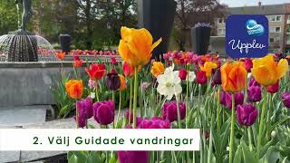 SYNTOLKAD Gå en guidad parkvandring med appen Upplev Uddevalla