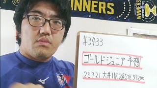 【地方競馬予想】ゴールドジュニア S3（9月21日大井11R 2歳）予想