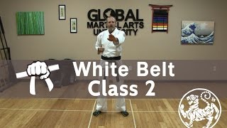Shotokan Karate Follow Along Class - 9th Kyu White Belt - Class #2