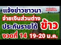 แจ้งข่าวชาวนา จ่ายเงินส่วนต่าง ประกันรายได้ข้าว งวดที่ 14 และงวดที่ 1 13เพิ่มเติม 19 20 ม.ค.นี้