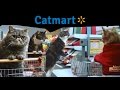 Cat Supermarket! (2016)