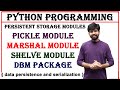 pickle module, marshal module, shelve module, dbm package, data persistence, serialization in python