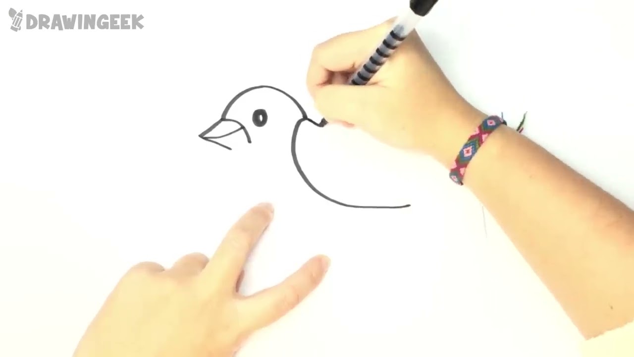 How To Draw A Bird For Kids | Bird Drawing Lesson Step By Step - YouTube