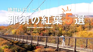 【那須Vlog】絶対に行くべき！那須の紅葉5選／10月下旬🍁