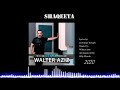 Walter Aziz  Shaqeeta from 2020 Album