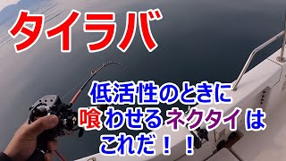 EP34【タイラバ】低活性のときに喰わせるネクタイはこれだ