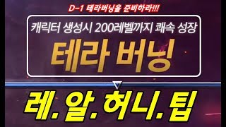 [한자] D-1 테라버닝을 준비하라!!! 테라버닝 관련해서 진짜 꿀팁을 드립니다 꼭보시고 허니허니하세요!! [한자플스토리]