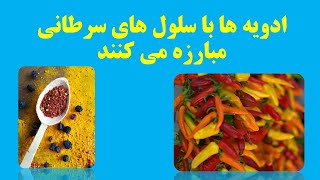 دلایل مهم که غذاهای تند و ادویه دار برای بدن شما مفید هستند