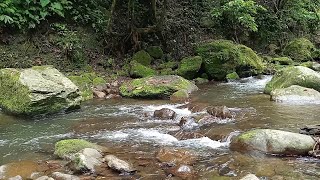 Prove that the sound of flowing water is beautiful and melodious and calms the heart  (ASMR)