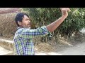 some time in dhamrai rajapur village rajapur village dhamrai dhaka travel blog