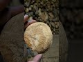 awsome little burl i found inside of a split piece of firewood should make for a cool carving