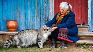 RARE WILD CAT Lives With Grandma! What Scientists Discovered Will AMAZE You!