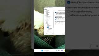 putty add key
