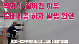 벽지가 떨어진 이유 ?? 도배시공 하자 발생과 원인