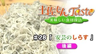 【DiamondDining Channel】　「土佐もんＴａｓｔｅ」　安芸のしらす　後編　#28