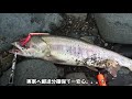 【知床】世紀末！北海道は”鮭”の炎に包まれた！！【鮭釣り】その２