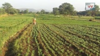 Farmers cheated, land grabbing unchecked in Pune | Rohini Pawar reports for IndiaUnheard